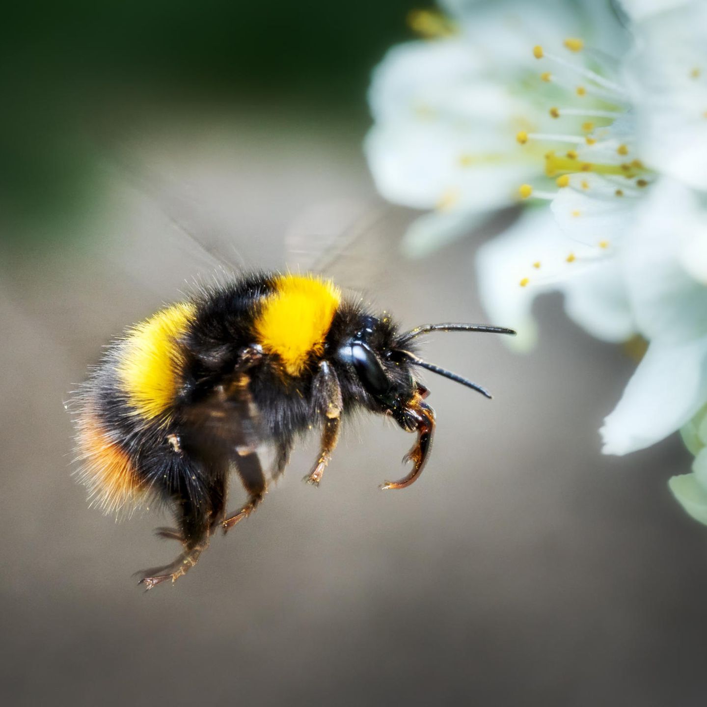 Testen Sie Ihr Wissen im Quiz