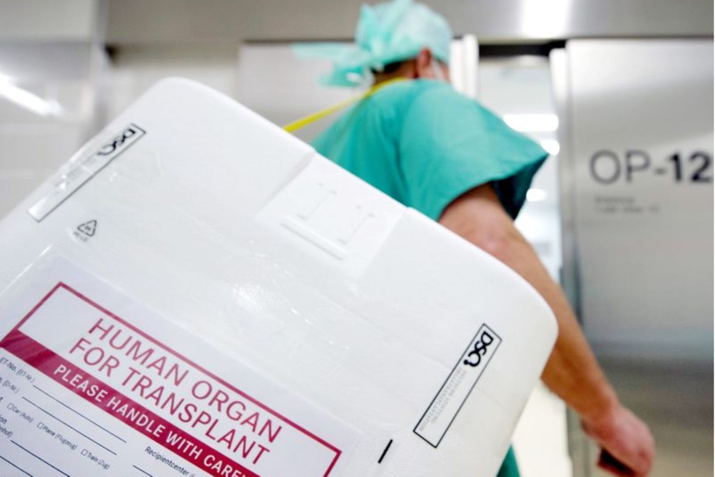 Organspenden