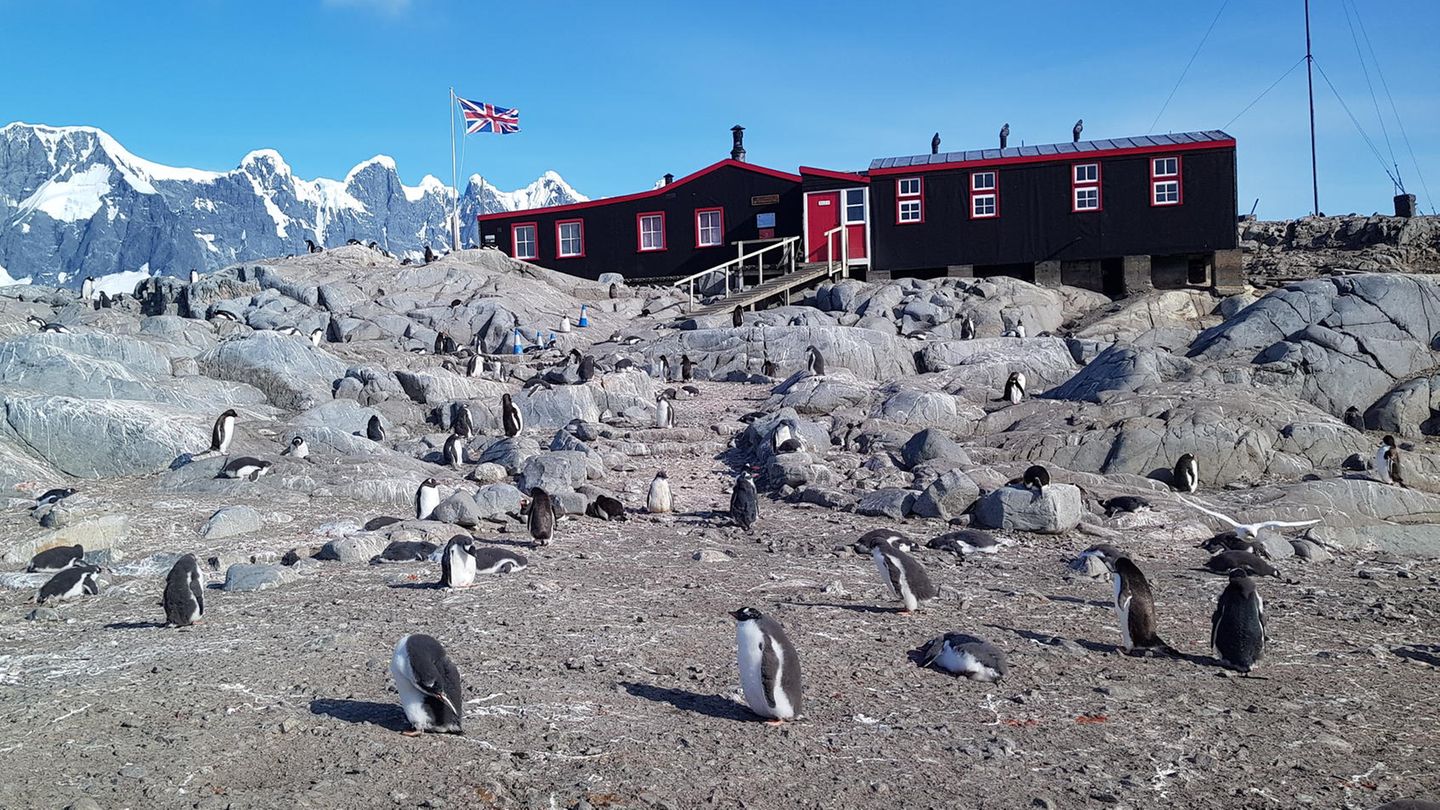 Antarktis mit Pinguinen und Poststation