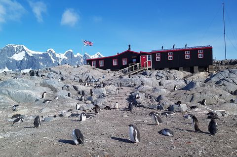 Antarktis mit Pinguinen und Poststation