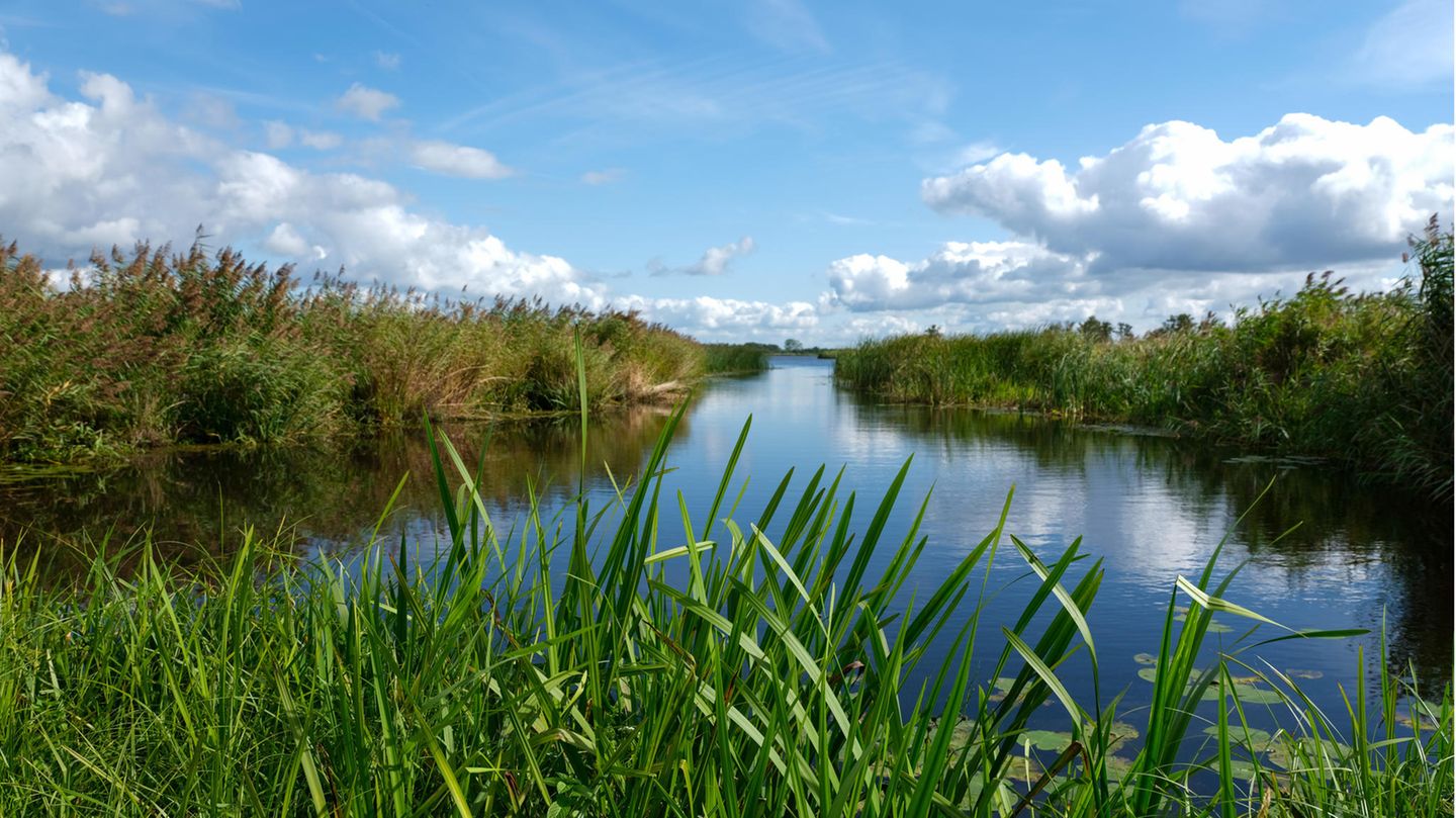 Nationalpark Weerribben-Wieden