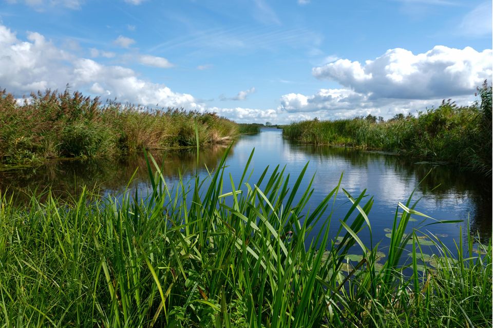 Nationalpark Weerribben-Wieden