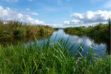 Nationalpark Weerribben-Wieden