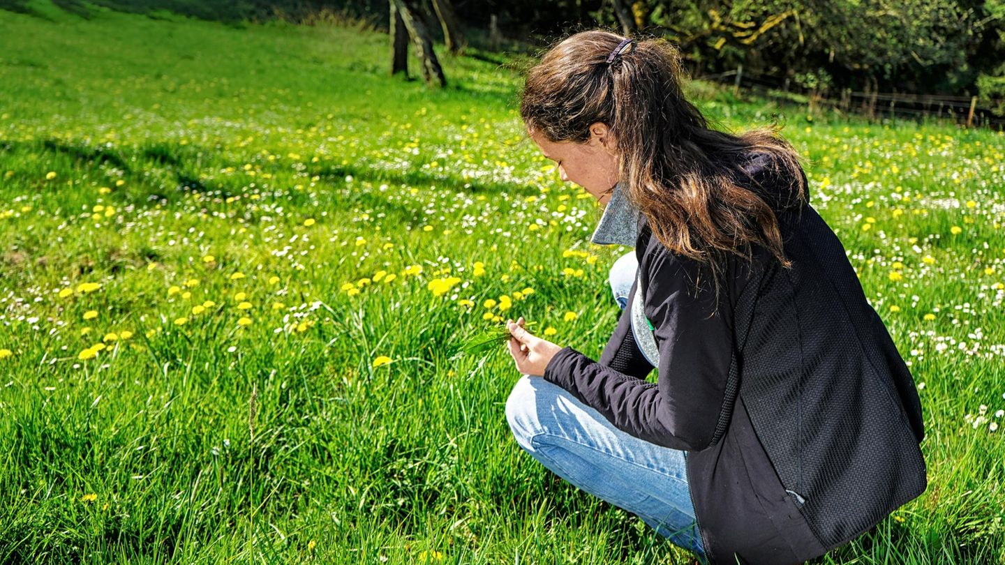 Maura Beusch sucht auf einer Wiese Wildkräuter