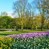 Vondelpark in Amsterdam