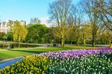Vondelpark in Amsterdam