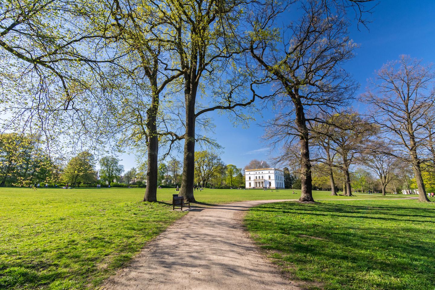 Jenischpark: Spaziergang mit Hamburger Elbblick Hamburger Jenischpark mit Blick auf das Jenischhaus