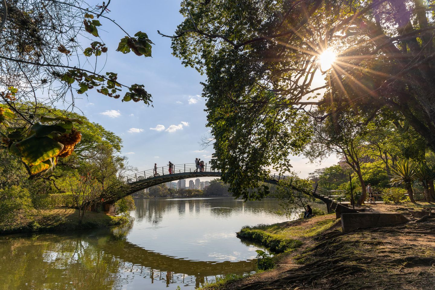 Parque do Ibirapuera: Grüner Treffpunkt in São Paulo - [GEO]