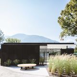 Außenansicht auf den Campingplatz. Im Hintergrund ein Berg, drumherum verschiedene Pflanzen