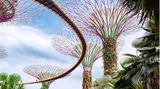 Gardens by the Bay, Singapur