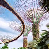 Gardens by the Bay, Singapur