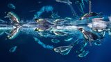 Kaiserpinguine setzen Millionen von Mikrobläschen aus ihren Federn frei, die ihren Körper schmieren und die Reibung verringern, wenn sie durch die kalten Gewässer der Antarktis rasen. Diese einzigartige Fähigkeit ermöglicht es ihnen, bis zu dreimal so schnell zu schwimmen wie sonst, und hilft ihnen bei der Flucht vor hungrigen Leopardenrobben, die in den Tiefen lauern.      Paul Nicklen ist ein kanadischer Fotograf, Filmemacher und Meeresbiologe, der seit über zwanzig Jahren die Schönheit und Not unseres Planeten dokumentiert. Als Auftragsfotograf für das National Geographic Magazin und Sony Artisan of Imagery weckt Nicklen die Fantasie eines weltweiten Publikums.  Das Foto kann bei Vital Impacts erstanden werden. Der Erlös geht zu 100 % an die Hilfsorganisation Direct Relief, die momentan in der Ukraine im Einsatz ist.