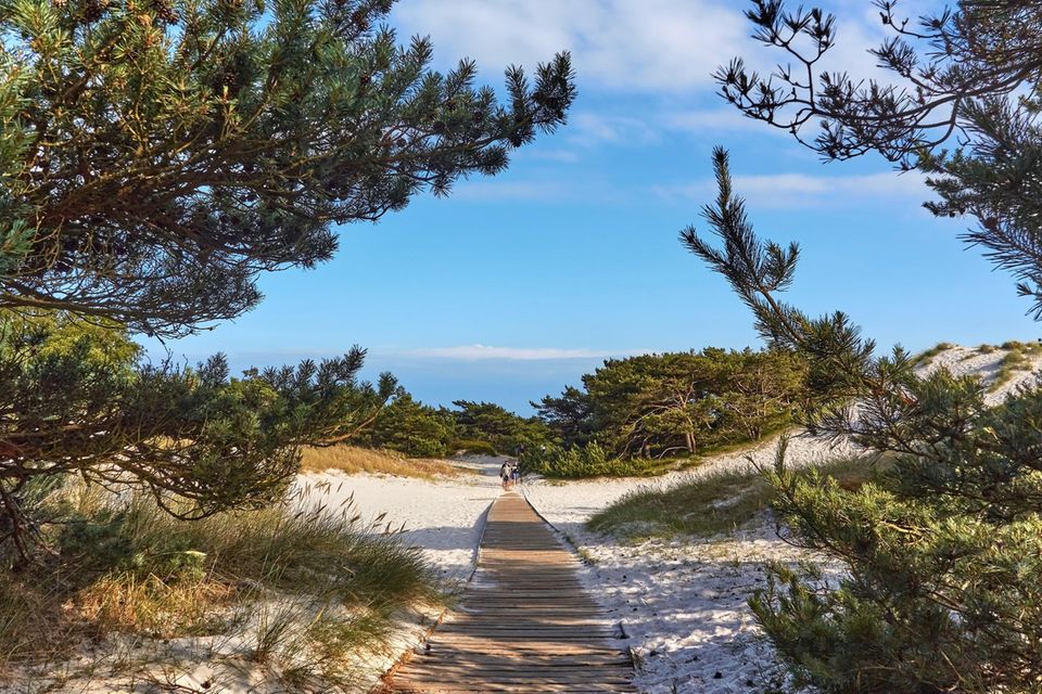 Holzsteg, der durch feinen Sand auf den Strand von Dueodde