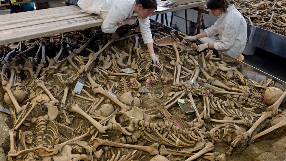 Massengrab aus dem Dreißigjährigen Krieg Massengrab aus dem Dreißigjährigen Krieg