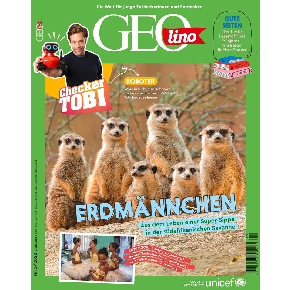 GEOlino Magazin: Erdmännchen
