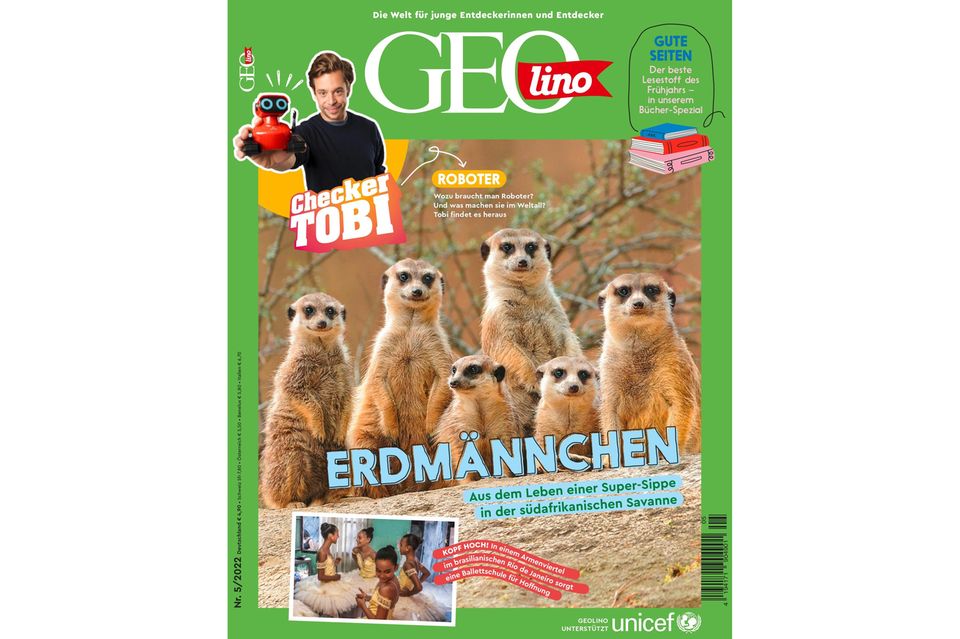 GEOlino Magazin: Erdmännchen