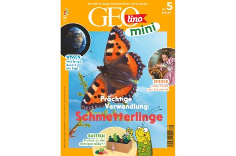 GEOlino Mini: Schmetterlinge