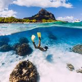 Freediverin mit gelben Schwimmflossen im Wasser vor Mauritius