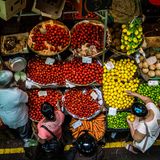 Blick von oben auf einen Obst- und Gemüsestand mit Tomaten, Zitronen und Möhren