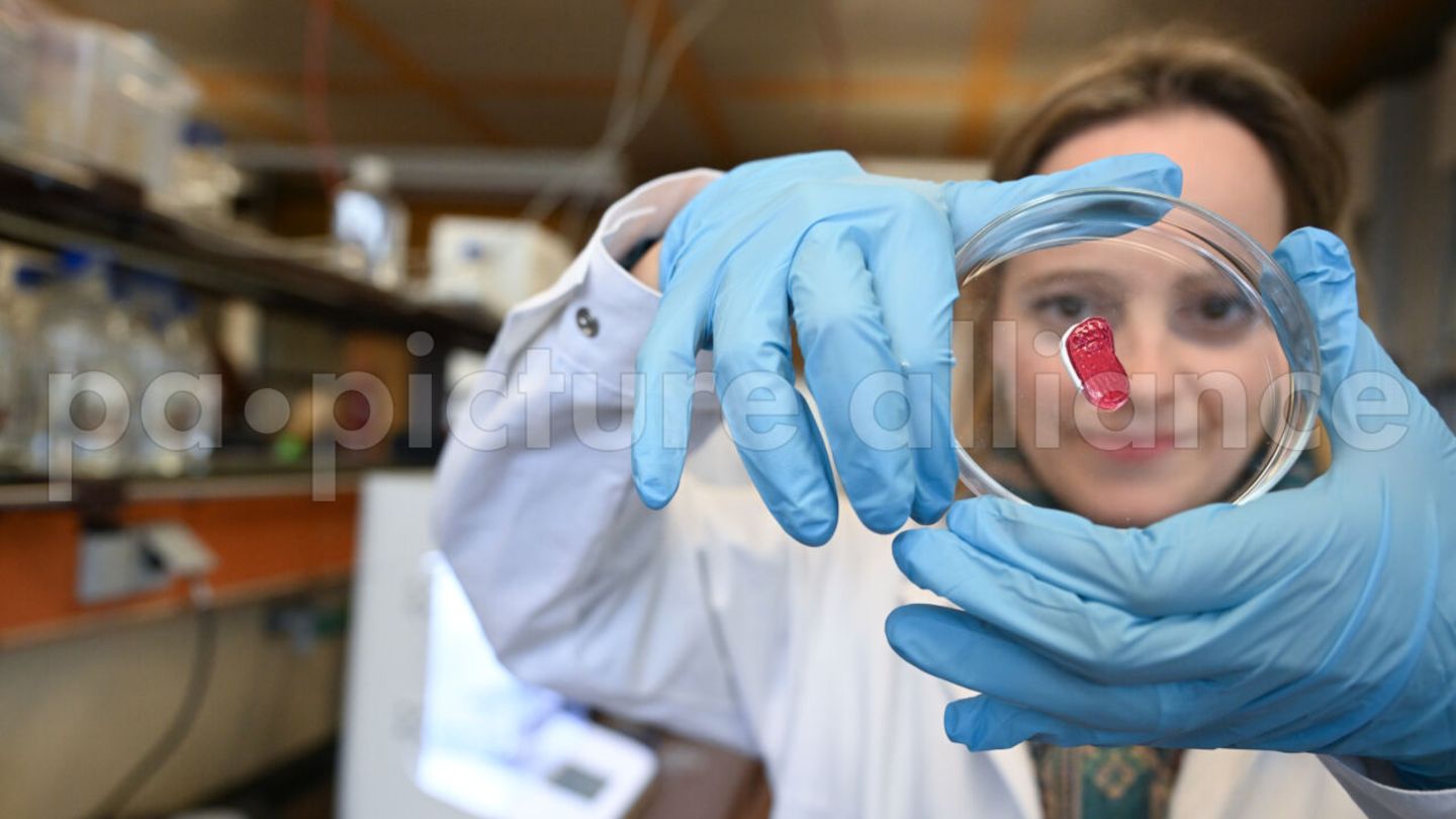 Petra Kluger, Projektleiterin an der Hochschule für angewandte Chemie in Reutlingen, mit einem Stück künstlichem Fleisch, das mit einem 3-D-Drucker produziert wurde
