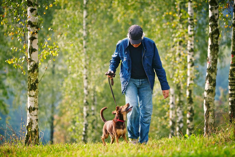 Ein älterer Mann ist mit einem Hund spazieren
