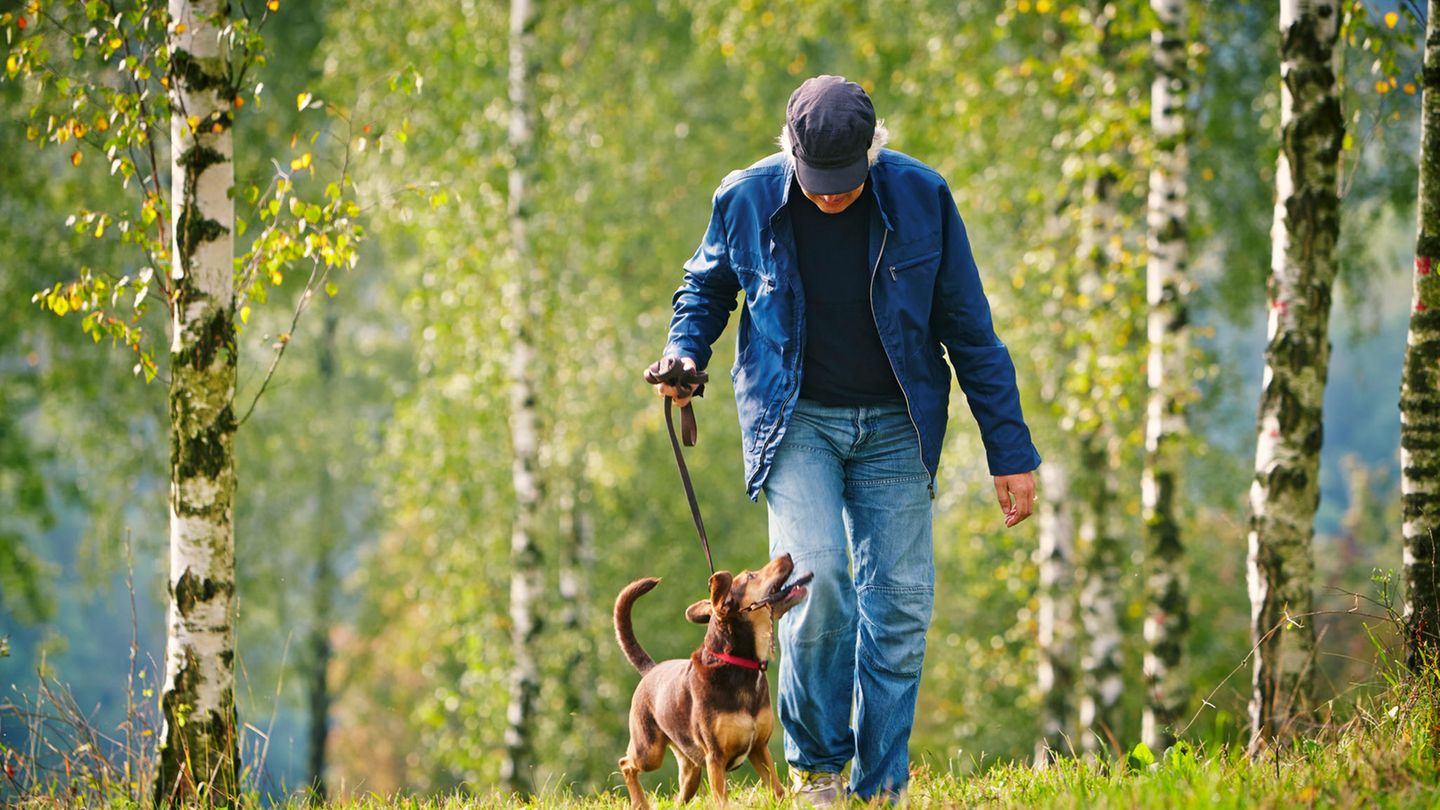 Ein älterer Mann ist mit einem Hund spazieren