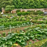 Küchengarten von Miromesnil