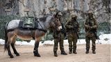 Soldaten vom Gebirgsjägerbataillon 23 mit einem Muli
