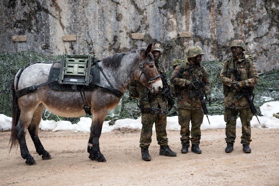 Soldaten vom Gebirgsjägerbataillon 23 mit einem Muli