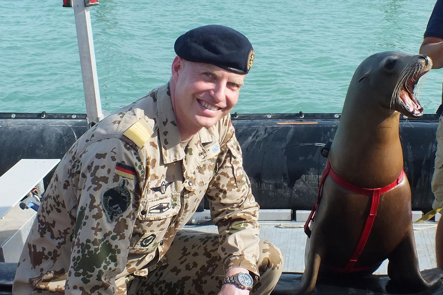 Seelöwen: Alarm unter Wasser Fregattenkapitän Arne Krüger vom Seebataillon der Marine posiert mit Seelöwe "Jack" während einer internationalen Seeübung