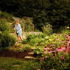 Andrea Heistinger im Privatgarten bei Melk