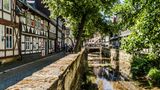 Blick auf eine Altstadt-Gasse mit Kanal und Bäumen