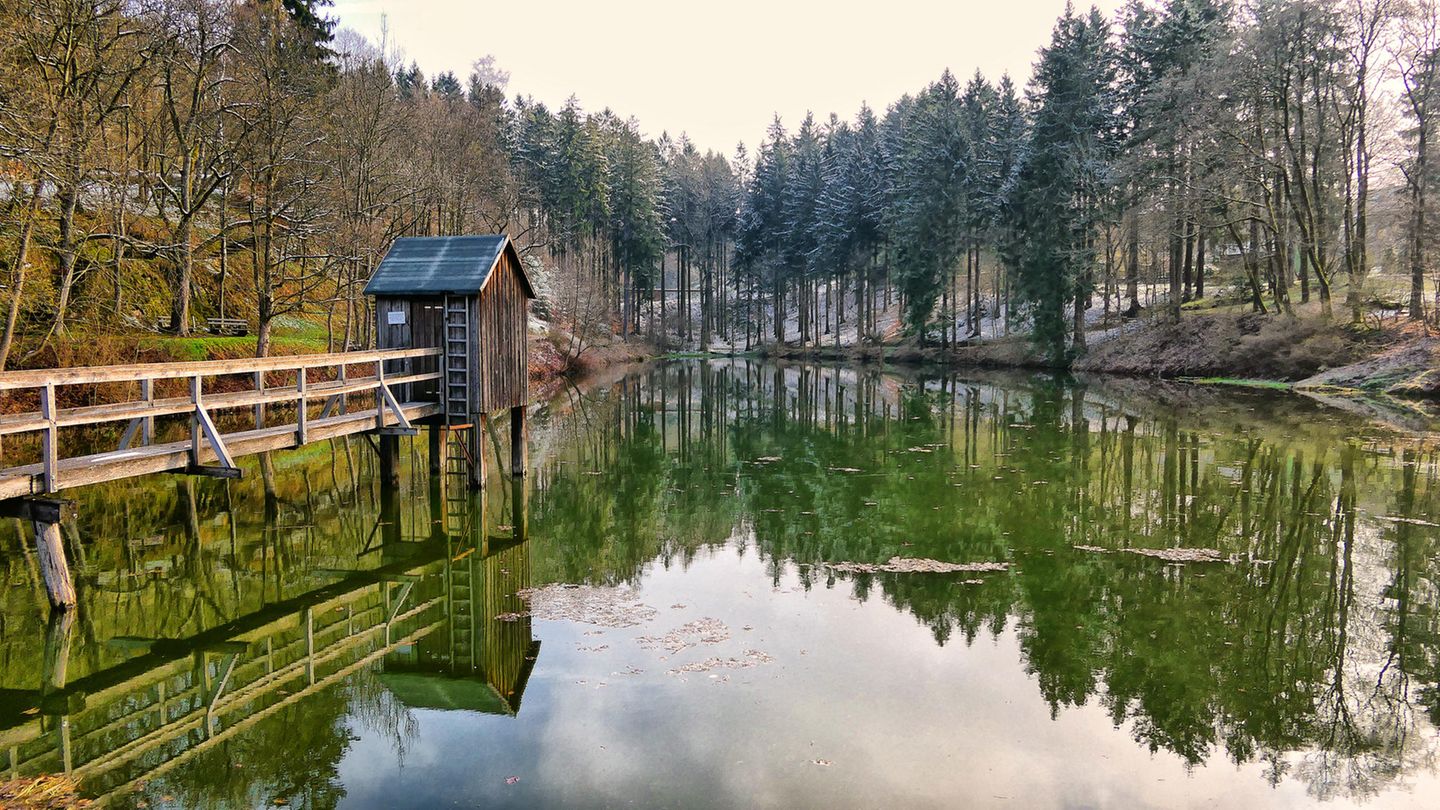 Oberharzer Wasserwirtschaft See mit kleinem Stelzenhaus