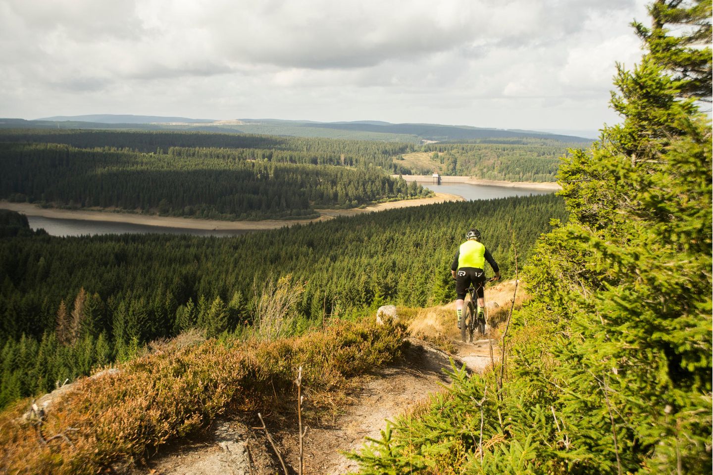 Mountainbiker auf einem Trail mit Blick auf Wälder und See
