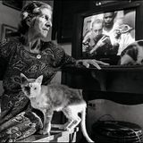 Heroen der Revolution...