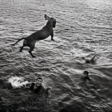 Auch in flüchtigen Momenten bewahrt sich Raúl Cañibano einen Blick für das Surreale und ein Gespür für den perfekten Bildausschnitt