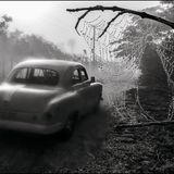 Sie gehören zum Fotoklischee in jedem Reiseführer, jeder Kuba-Geschichte: altersschwache Limousinen aus der Zeit vor der Revolution. Cañibano ironisiert es mit einem Spinnengewebe