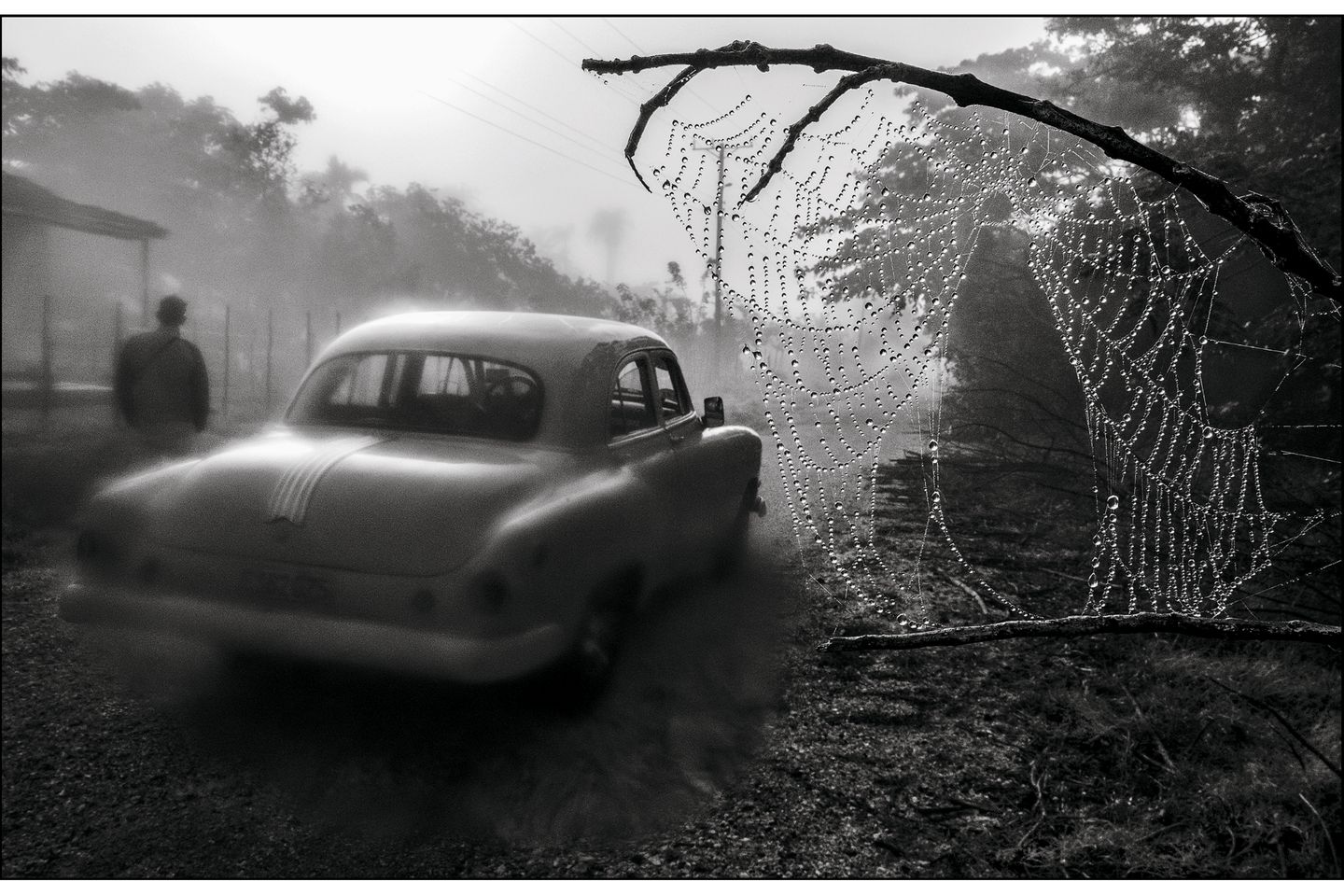 Sie gehören zum Fotoklischee in jedem Reiseführer, jeder Kuba-Geschichte: altersschwache Limousinen aus der Zeit vor der Revolution. Cañibano ironisiert es mit einem Spinnengewebe