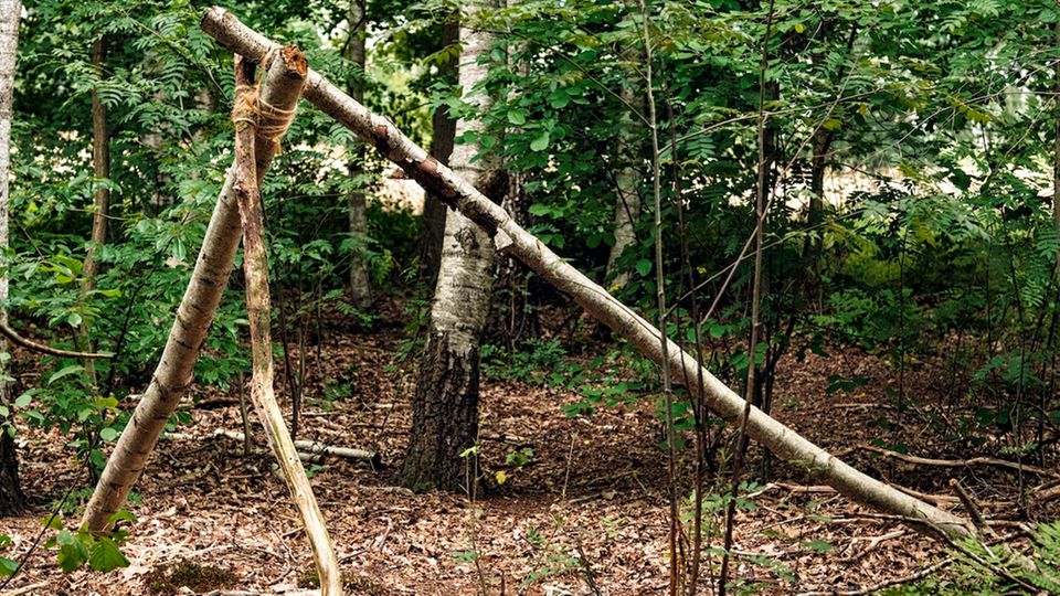 Anleitung: Baut euch eine Waldhütte!