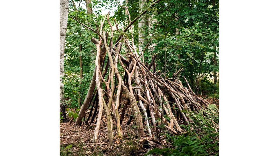 Anleitung: Baut euch eine Waldhütte!