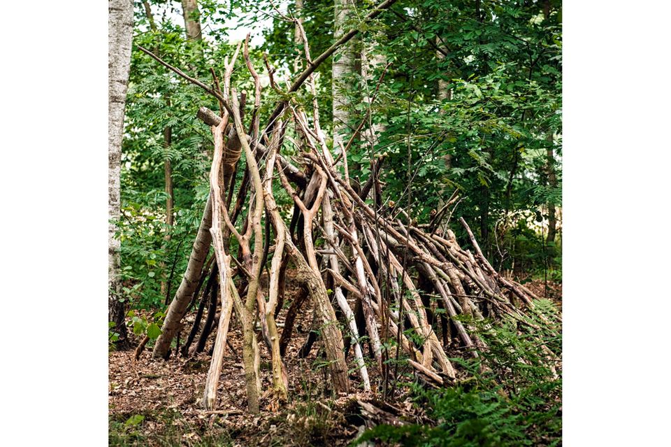 Anleitung: Baut euch eine Waldhütte!