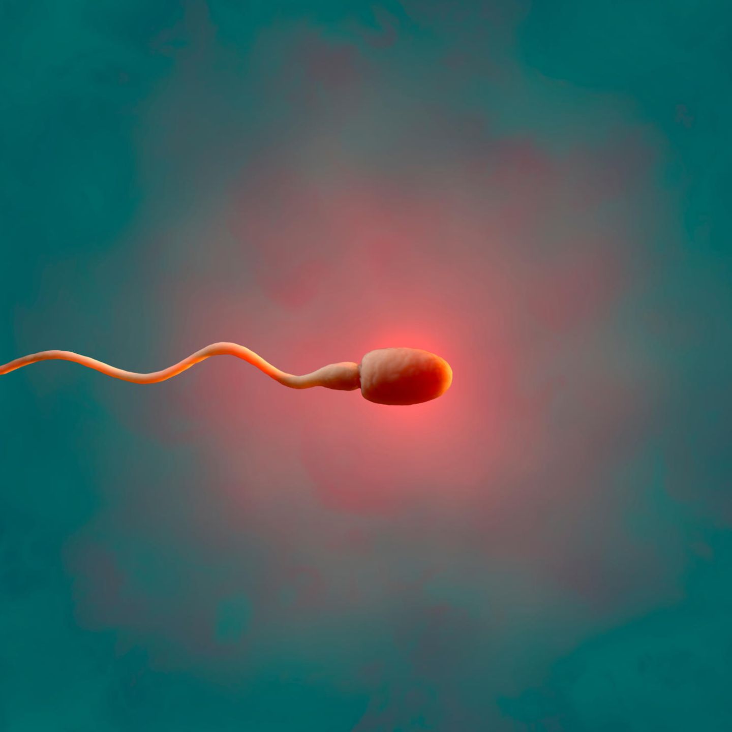 rotgefärbtes Spermium vor grünlichem Hintergrund
