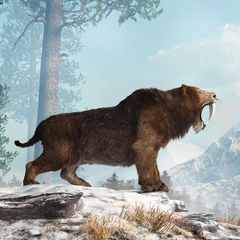 Reißerisch: Wer dieser Säbelzahnkatze in der Steinzeit vor etwa 30 000 Jahren begegnet, muss um sein Leben fürchten. Tatsächlich leben damals auch schon die ersten Menschen