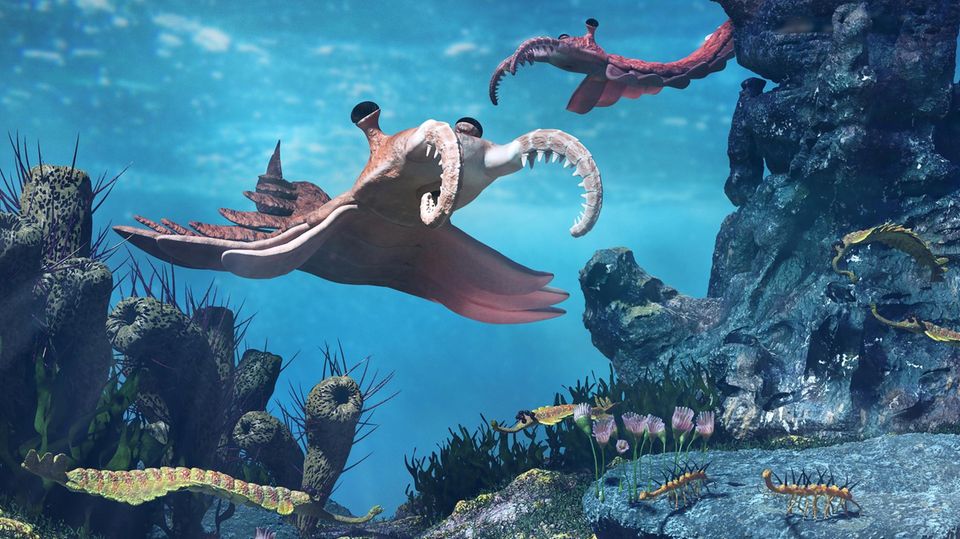 Plötzliche Vielfalt: Vor rund 540 Millionen Jahren ereignet sich die kambrische Explosion. In kurzer Zeit bilden sich viele verschiedene Kreaturen in den Ozeanen