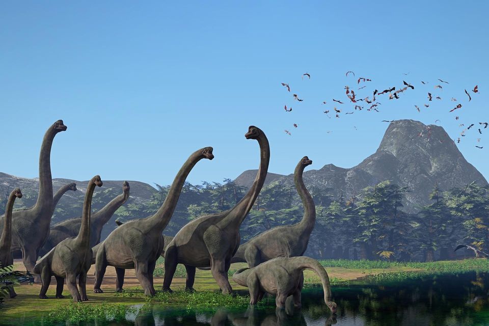Im Zeitalter Jura triumphieren die Giganten: Mit den Langhalssauriern schreiten die größten Landlebewesen der Erdgeschichte über den Planeten