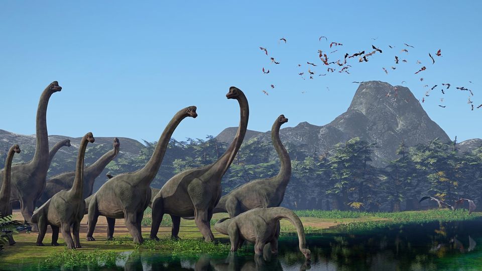 Im Zeitalter Jura triumphieren die Giganten: Mit den Langhalssauriern schreiten die größten Landlebewesen der Erdgeschichte über den Planeten