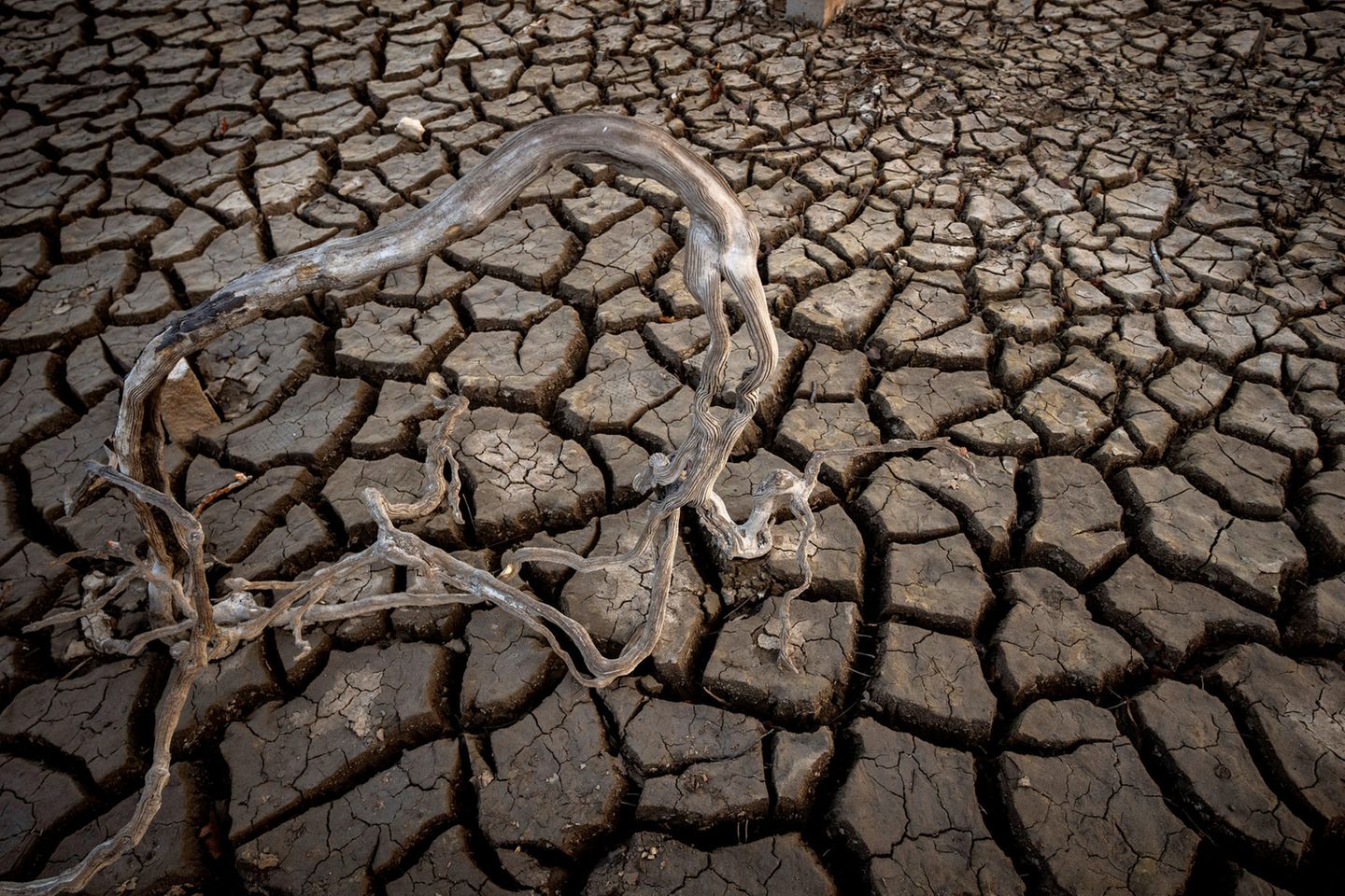 Auch in Spanien macht sich ausbleibender Regen bemerkbar. Der trockene Boden eines Stausees zeugt vom Wassermangel