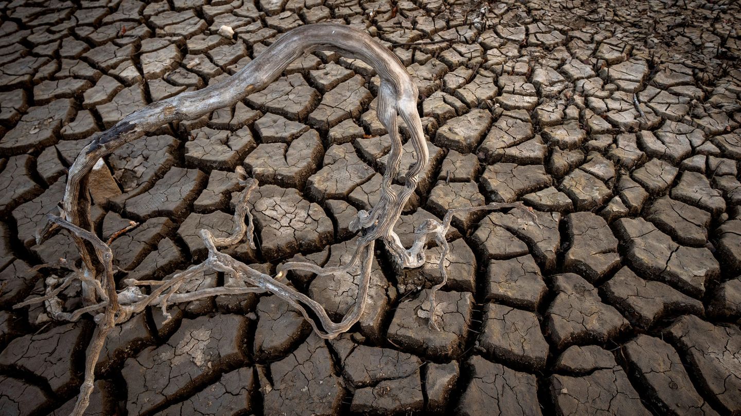 Auch in Spanien macht sich ausbleibender Regen bemerkbar. Der trockene Boden eines Stausees zeugt vom Wassermangel
