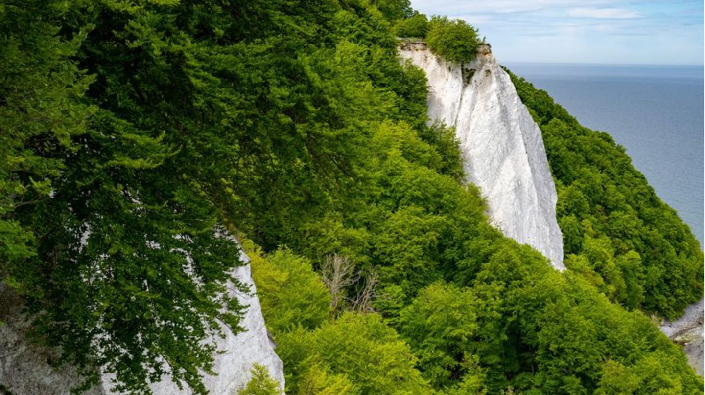 Der Königsstuhl an der Kreideküste im Nationalpark Jasmund auf Rügen