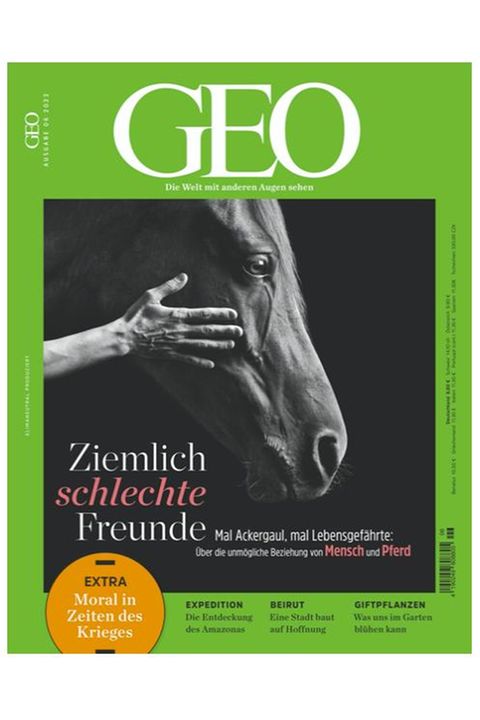 Worauf Sie vor dem Kauf von Efeu zaun sichtschutz Aufmerksamkeit richten sollten!